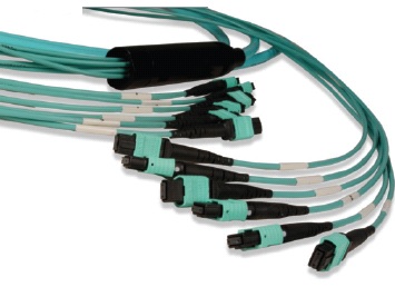 FR24-5LL005M-C