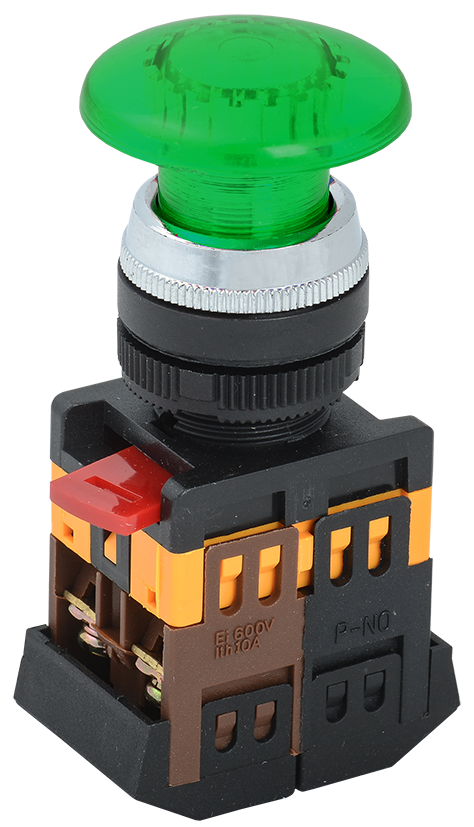 BBG20-AELA-K06
