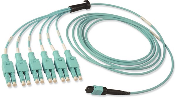 TFBC5VLMFLC003M