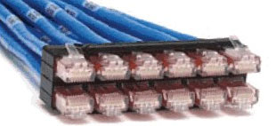 Сборка из 12 кабелей UTP cat.6 